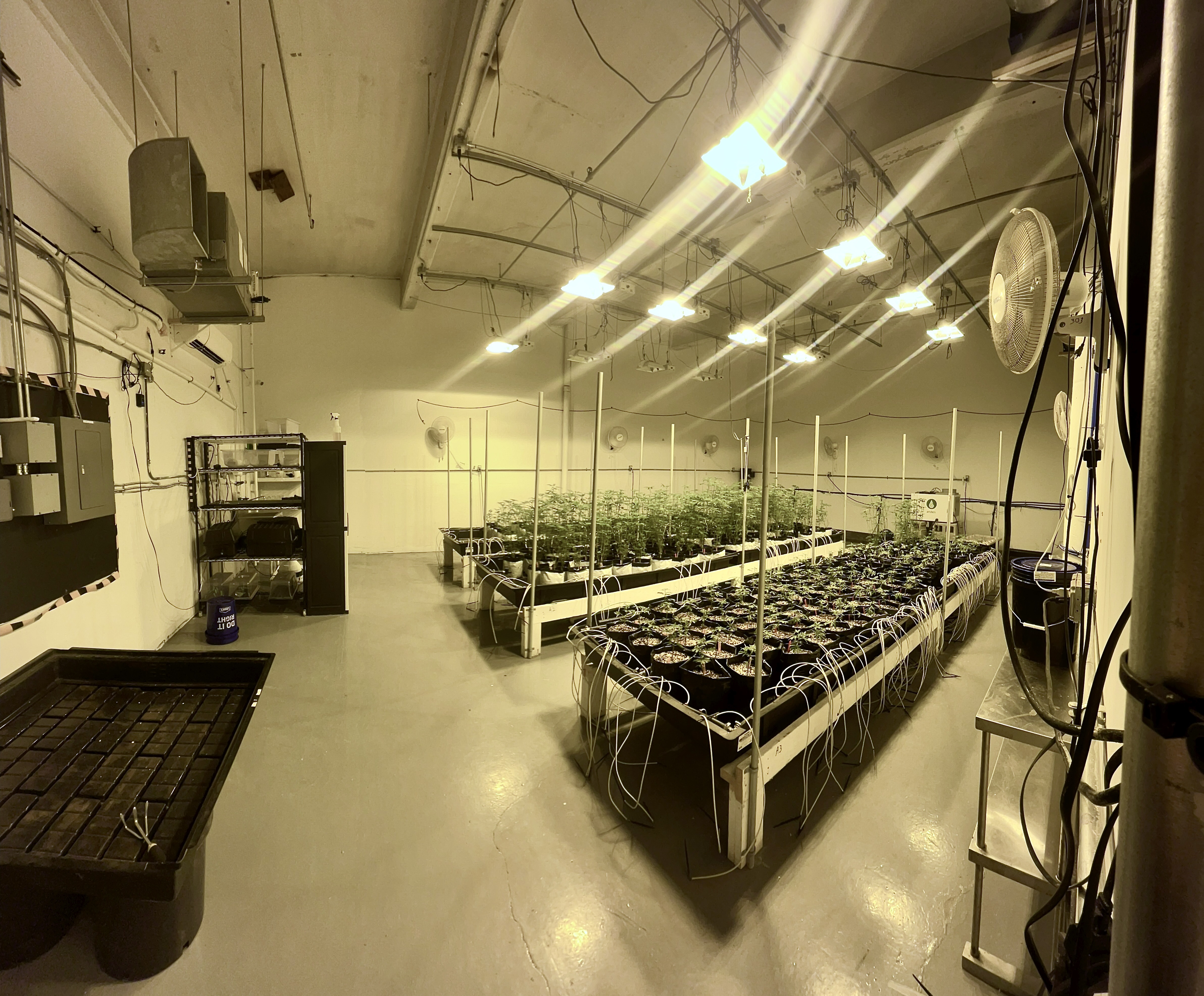 Enzy Farms - IoT Automation System
